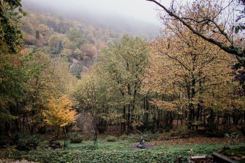 Erdo Lelke Vendeghaz: Mesebeli, Erdoszeli Fahaz Panoramaval Villa นากีมาโรช ภายนอก รูปภาพ
